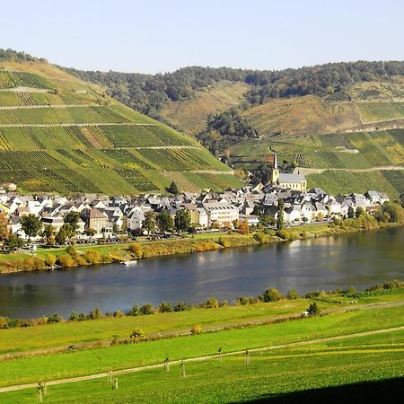 Weinstube Pension Moselbluemchen Zeltingen-Rachtig Exterior foto