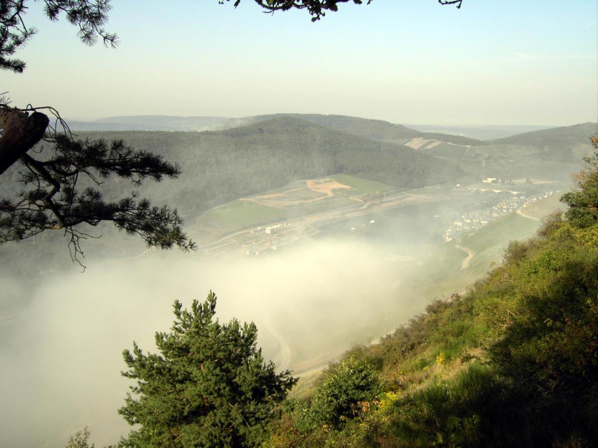 Weinstube Pension Moselbluemchen Zeltingen-Rachtig Exterior foto