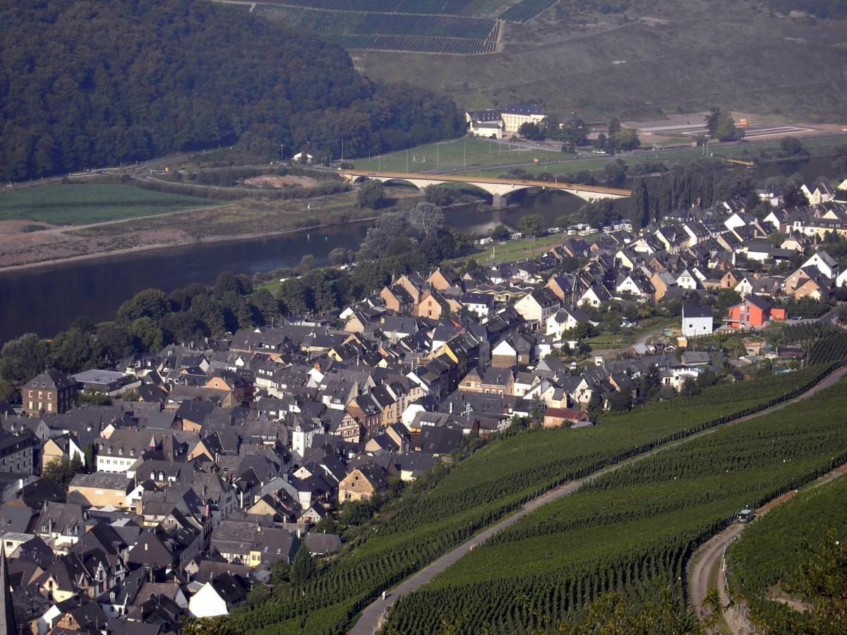 Weinstube Pension Moselbluemchen Zeltingen-Rachtig Exterior foto